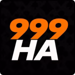 999ha game Logo