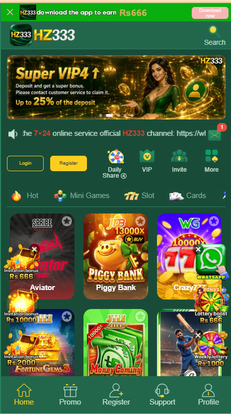 hz333 game Interface