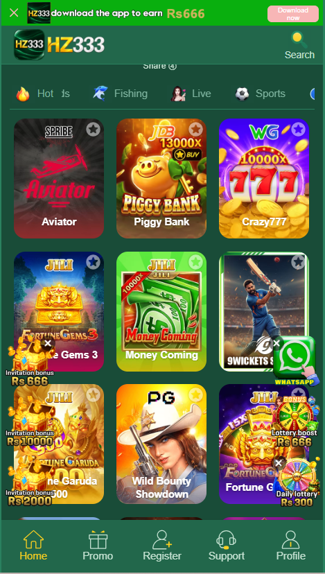 hz333 game Interface